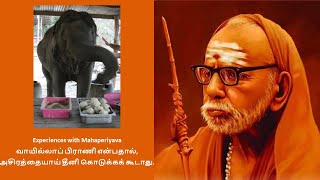 Experiences with Mahaperiyava - வாயில்லாப் பிராணி என்பதால், அசிரத்தையாய் தீனி கொடுக்கக் கூடாது.