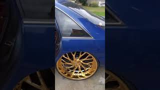 Round body on Gold 28s