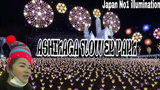 JAPAN NO 1 ILLUMINATION | ASHIKAGA FLOWER PARK | Ghina Wedda Fujii