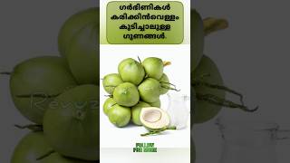 ഗർഭിണികൾ കരിക്കിൻവെള്ളം കുടിച്ചാലുള്ള ഗുണങ്ങൾ #viralvideos #youtubeshorts #pregnancy #shorts #short