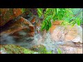 The 1 Minet Forest WaterFall HD Nature Sound