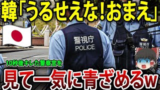 【ゆっくり解説】日本の警察を軽視した韓国人の悲惨な結末→キレた警察官を見て一気に青ざめるw