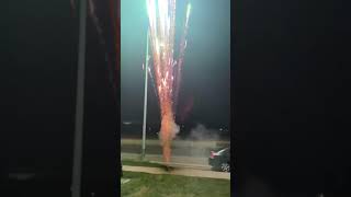 Buffalo bomb shell firework