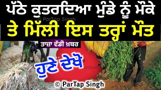 punjabi news today live - Punjab Weather Today - Punjab News