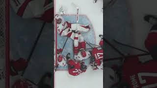 The referee canceled the goal.  Washington Capitals vs Carolina Hurricanes. NHL22/23