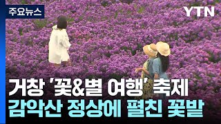 '꽃과 별' 즐기는 가을 추억 여행...북적북적 / YTN