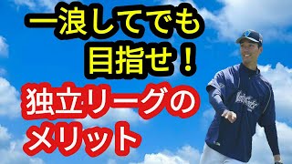 【一浪してでも目指せ！】独立リーグのメリット