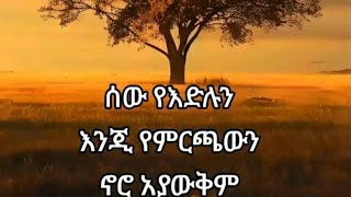 ሰው የእድሉን አንጂ የምርጫውን  አያግደኝም