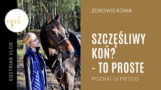 SZCZĘŚLIWY KOŃ? - TO PROSTE | Poznaj 10 sposobów na 😁