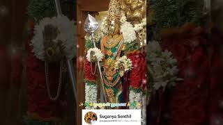 தைப்பூச விரதம் முறை #muruga #thaipoosam #murugan#✨🦚🙏முருகன் துணை🙏🦚✨🙏முருகா🙏✨Like share subscribe