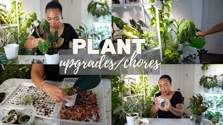 🌱a subscriber saved my plant🪴Finding fun and JOY ☀️on gloomy days || Repotting, upgrading & chores