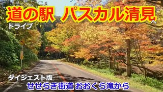 【車載動画】せせらぎ街道 おおくら滝付近から 道の駅 パスカル清見へ ドライブ (ダイジェスト版)