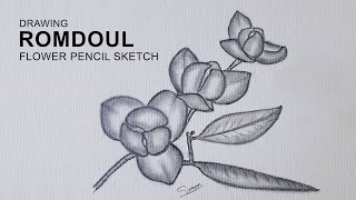 How to Draw Romdoul Flower / ផ្ការំដួល #cambodia | Sinoun Drawing