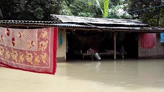 Assam mari gaon  vill bechamari duwa laharighat