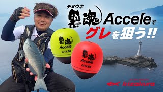 【キザクラ】グレにも効く！ 黒魂アクセル 全層釣法！ 田中一智テスター【黒魂】