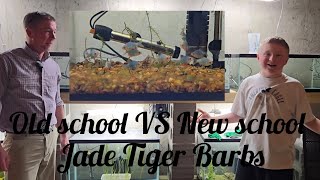 Breeding Tiger Barbs: Old School VS New School challenge!