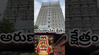 Tiruvannamalai | Arunachalam Temple 🙏 #tamilnadu  #youtubeshorts  #karthikamasam  #shorts #monday