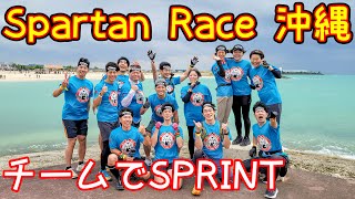 【 Spartan race 沖縄2024】初心者含む14人の翔のTokyo Fitness日和チームでSPRINT出走！【スパルタンレース】