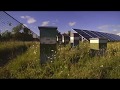 Solar Garden Post Camera Time Lapse 6-20-17