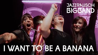 Jazzrausch Bigband • I Want To Be A Banana • Live Kleine Olympiahalle 2024