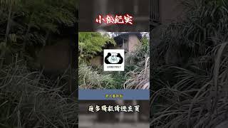 邻居在外打工，老人经常过来院子里帮忙清理杂草 #感动瞬间 #正能量 #暖心一幕