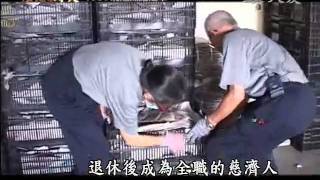 大愛電視DaAiTV_歷史的今天_today_20110201_1000.wmv