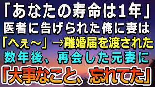 【感動する話】医者から余命宣告をされた俺に妻は「へぇ～」とたった一言→翌日、離婚届を置いて出て行った→数年後、元妻と再会し、「大事なことを伝え忘れた」【泣ける話】【号泣】