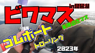 【ゴムボート】琵琶湖で最強に美味しい魚を狙う♪　～　新年一発目はミニボートフィッシング♪　#２馬力#ビワマス#ゴムボート