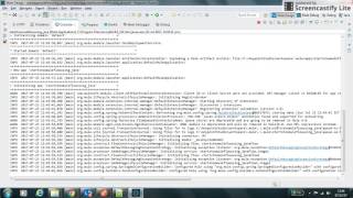 Start Stop Mule Flow Using Java