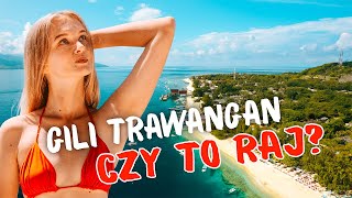 Co robić na Gili Trawangan?🦈🏝️ Nurkowanie z rekinami / żółwie / plaże / rajska wyspa / Bali / Lombok