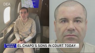 Sons of Mexican cartel leader 'El Chapo' are in plea negotiations with US, attorneys say