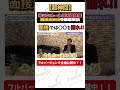 【元リクルート面接官が徹底解説】面接では絶対に〇〇を語れ リクルート 転職 面接対策 ＃物語化＃言語化