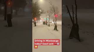 Driving in Mississauga today? Good luck! 🚗❄️😂 #snow #viralshorts #toptrending #winter #odisha