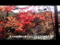 h24信州の紅葉、八千穂高原自然園