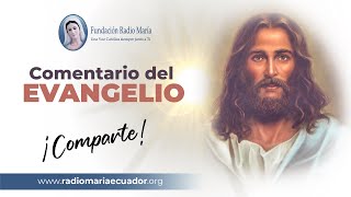 📖🙏 Reflexiones del Evangelio: 11 de enero de 2025 - Inspiración diaria sobre las escrituras