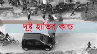 দুষ্টু হাতির কান্ড! ** Naughty Elephant