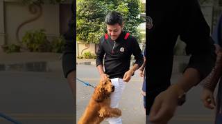 নতুন কুকুর কিনলেন রাকিব হোসাইন🐕🦮  #rakib_hossain #ontora #shorts