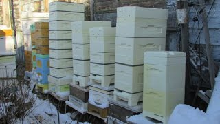 30.11.2022 года, получил заказ с фирмы BienenHaus, 6 рамочные комплекты по акции