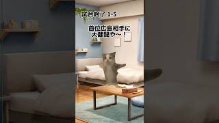 【中日】 猫ミーム 宇佐見と細川にホームランが飛び出しカード勝ち越しで発狂しまくる中日ファン #猫ミーム #中日ドラゴンズ #宇佐見真吾 #細川成也