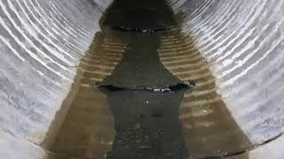 Solving the low flow problem - Fish Passage