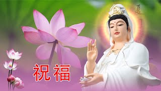 1天1遍大悲咒 消除災禍、帶來福報🌿🌷💖大家平安吉祥😊😊🙏🙏觀世音菩薩庇佑🙏南無大慈大悲觀世音菩萨🙏 Buddhist Song