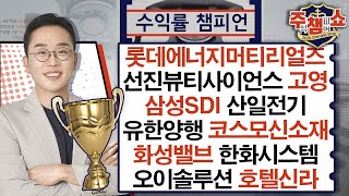 롯데에너지머티리얼즈,선진뷰티사이언스,삼성SDI,산일전기,고영,유한양행,코스모신소재,화성밸브,한화시스템,오이솔루션,호텔신라,동국제약,JYP Ent._주식 챔피언 쇼 (20241113