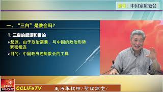 新生命热线公开课，基要福音派传道人联盟立场讲座9：中国家庭教会，王峙军