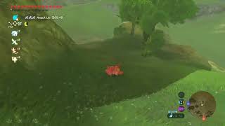 Link falls down a mountain for nearly 30 seconds