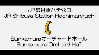 Shibuya Station ~ Bunkamura Orchard Hall/渋谷駅ハチ公改札～Bunkamuraオーチャードホール