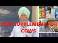 FEED SUPPLEMENTS FOR COWS | AULAKH DAIRY FARM | RAMPURA PHUL | BATHINDA| PUNJAB