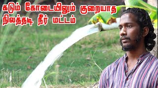 44 ஏக்கருக்கான நீர் மேலாண்மை | Centralized irrigation system for 44 Acres | Rainwater Harvesting