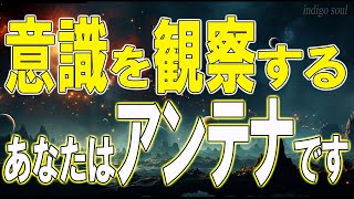 意識を観察する～あなたはアンテナです