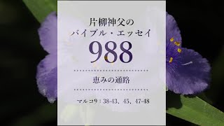 バイブル・エッセイ988『恵みの通路』（聖書朗読とミサ説教：片柳弘史神父）