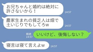 【LINE】結婚の挨拶で私の実家が農家なのを見下して追い返した義妹「貧乏人は土いじりでもしてろw」→言われた通り関わらないようにした結果、義妹に悲劇【スカッとする話】【総集編】【睡眠用】